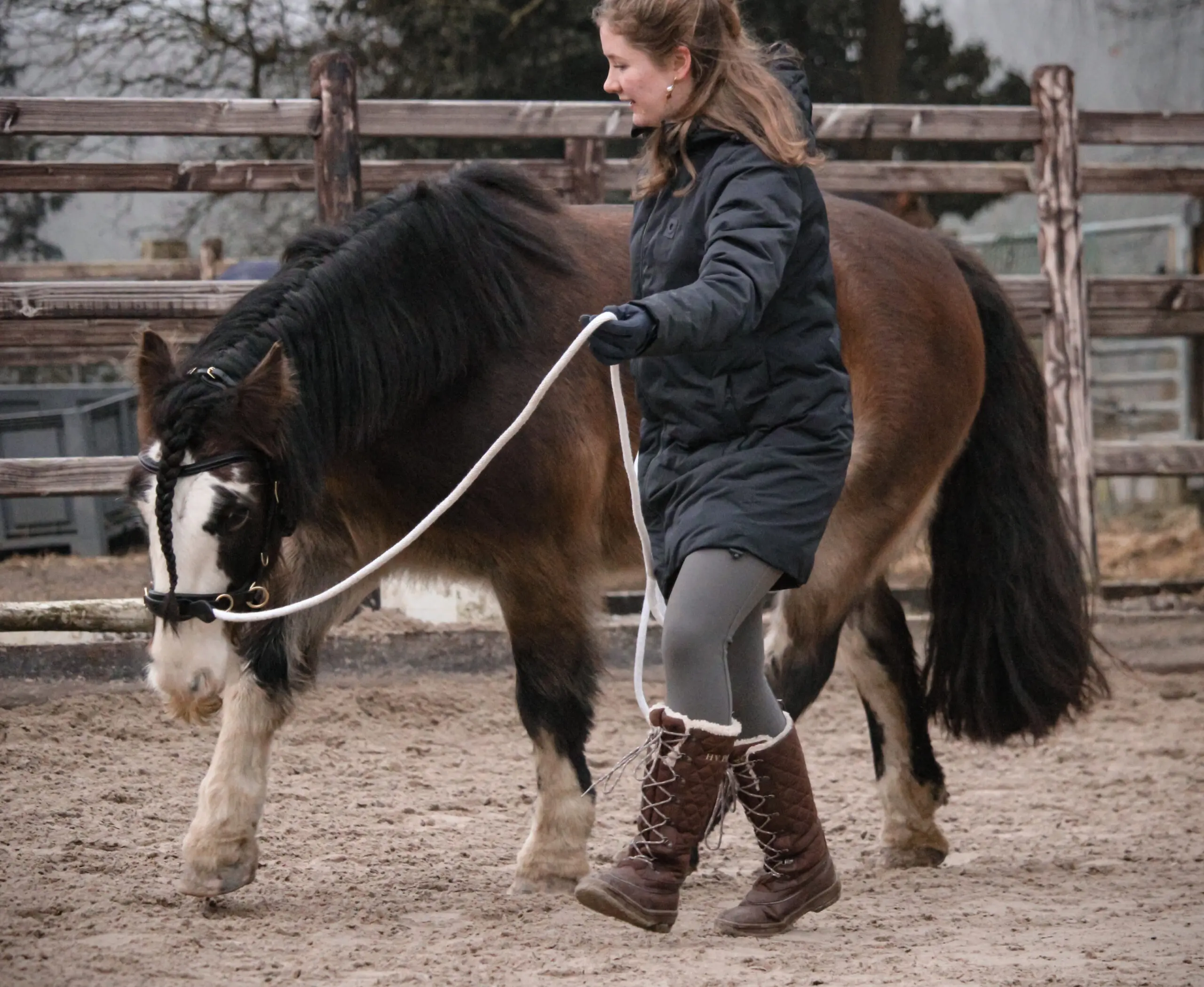 EDIX ED5, Cavesson PRO - Afbeelding 5